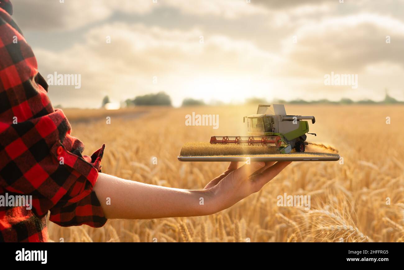 Landwirt hält ein Tablet mit einem Mähdrescher. Digitale Transformation in der Landwirtschaft. Smart Farming-Konzept Stockfoto