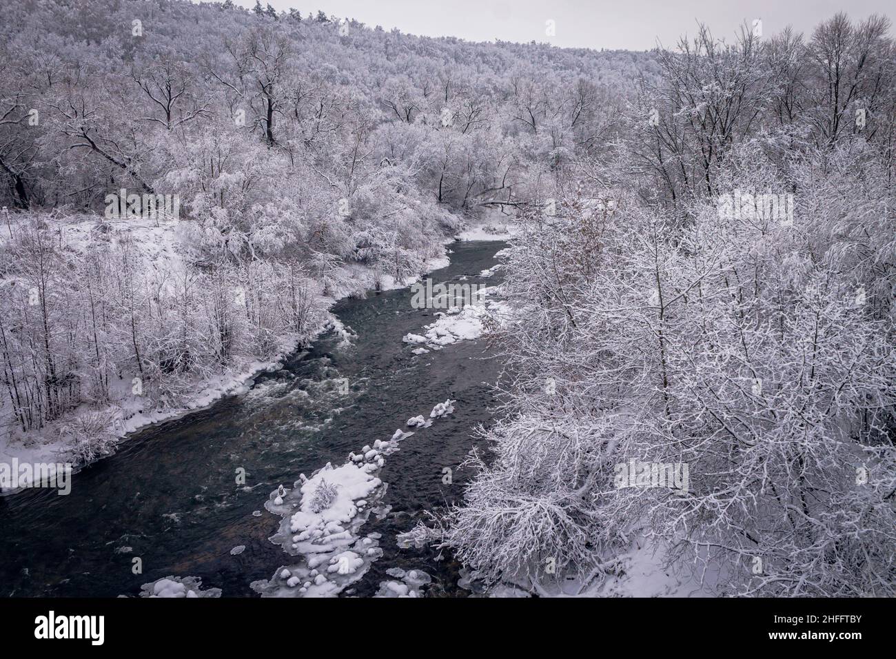 Sehr schöner natürlicher Hintergrund. Winter, fabelhafter Wald am Fluss. Die Bäume sind alle mit Schnee bedeckt. Stockfoto