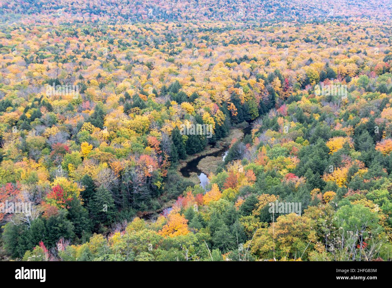 Herbstfarbe - Porcupine Mountains, Michigan Stockfoto