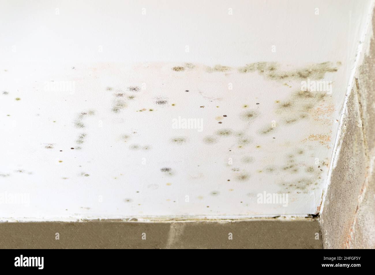 Schäden durch Wasserlecks an Wand und Decke im Untergeschoss Stockfoto