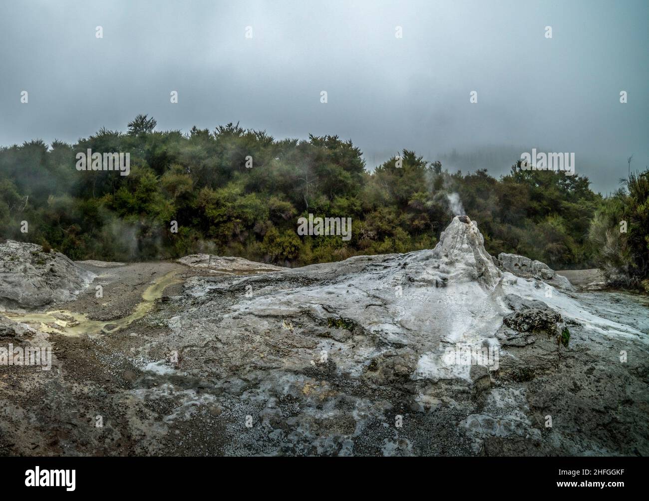 Lady Knox Geyser im Winter in Neuseeland Stockfoto