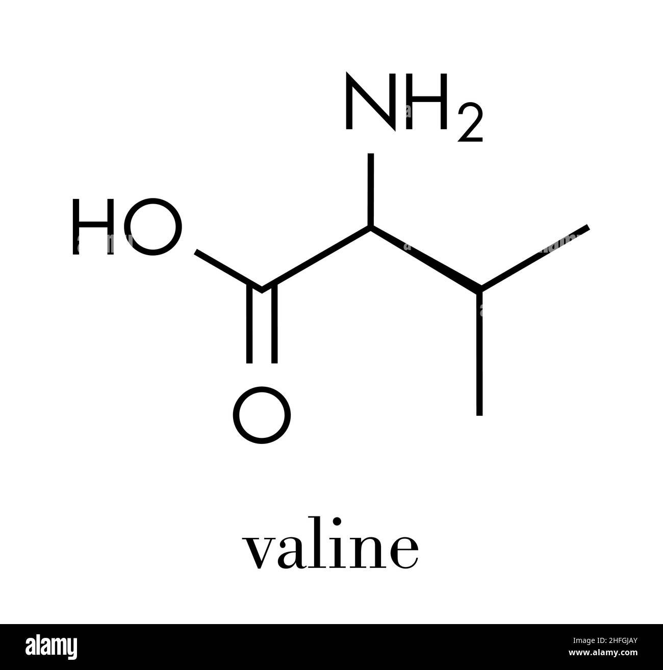 Aminosäuremolekül Valin (l-Valin, Val, V). Skelettformel. Stock Vektor