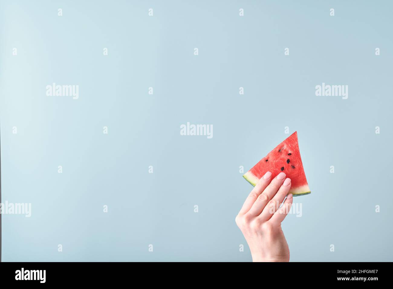 Weibliche Hand hält Wassermelonenscheibe auf blauem Hintergrund. Farbenfrohe heiße Sommerferien. Nahaufnahme von Wassermelonenscheiben in den Händen. Banner. Modell. Stockfoto