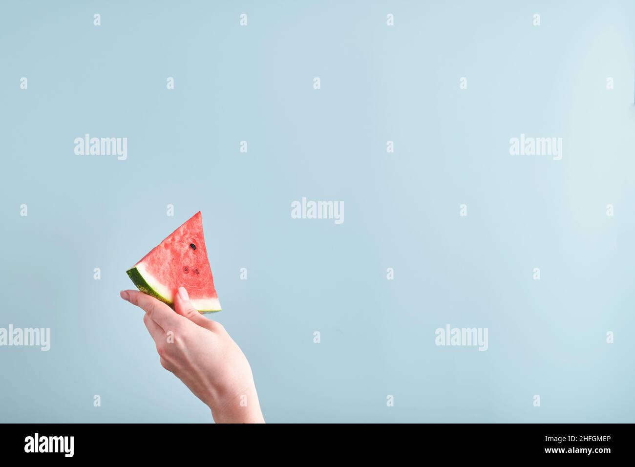 Weibliche Hand hält Wassermelonenscheibe auf blauem Hintergrund. Farbenfrohe heiße Sommerferien. Nahaufnahme von Wassermelonenscheiben in den Händen. Banner. Modell. Stockfoto