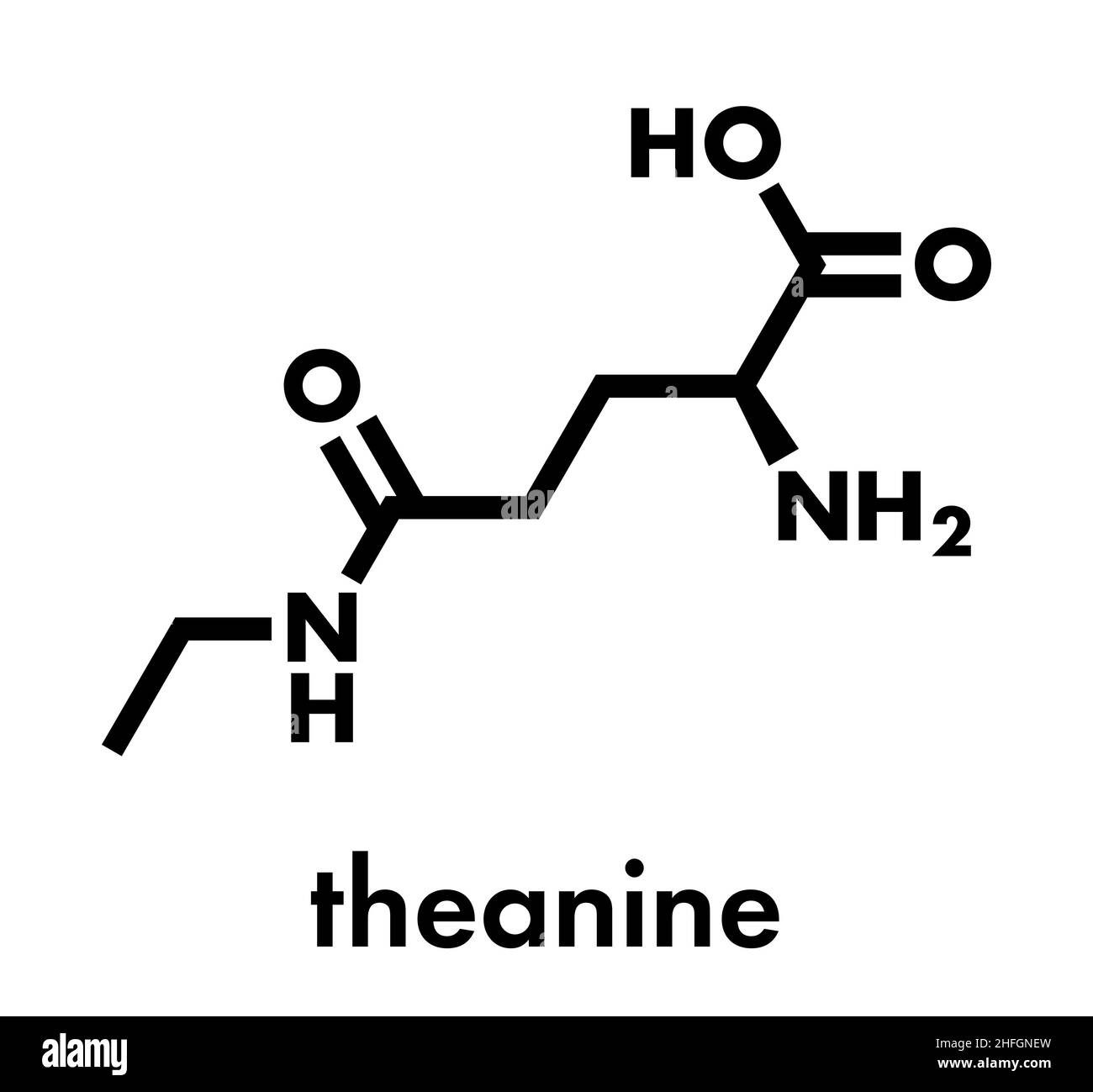 Theanin-Kräutermolekül. Bestandteil von Tee aus Camellia sinensis zubereitet. Auch als Nahrungsergänzungsmittel genommen. Skelettformel. Stock Vektor