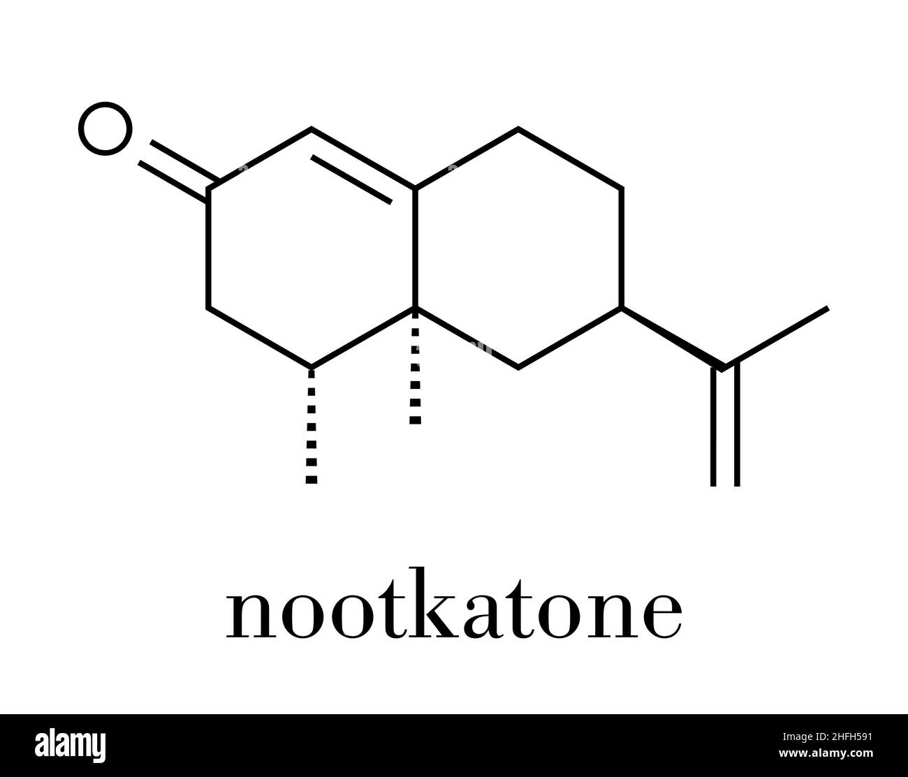Nootkaton natürliche Insektenschutz Molekül. In der Grapefruit. Skelettmuskulatur Formel. Stock Vektor