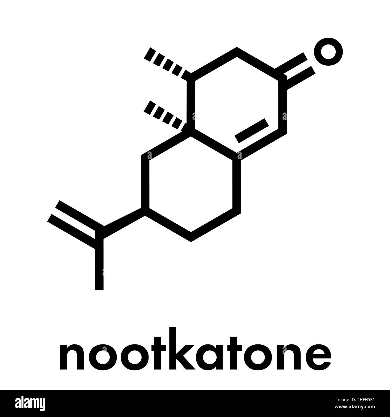 Nootkaton natürliche Insektenschutz Molekül. In der Grapefruit. Skelettmuskulatur Formel. Stock Vektor