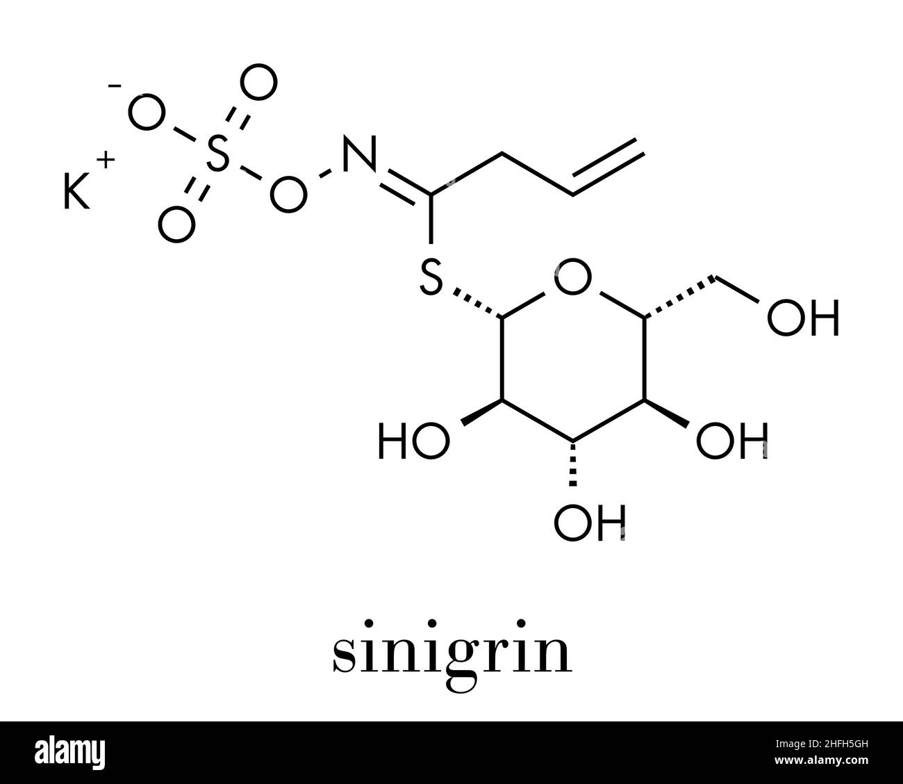 Sinigrin glucosinolat Molekül. In einigen Kreuzblütler (Rosenkohl, Brokkoli, Schwarzer Senf, etc.) präsentieren. Skelettmuskulatur Formel. Stock Vektor