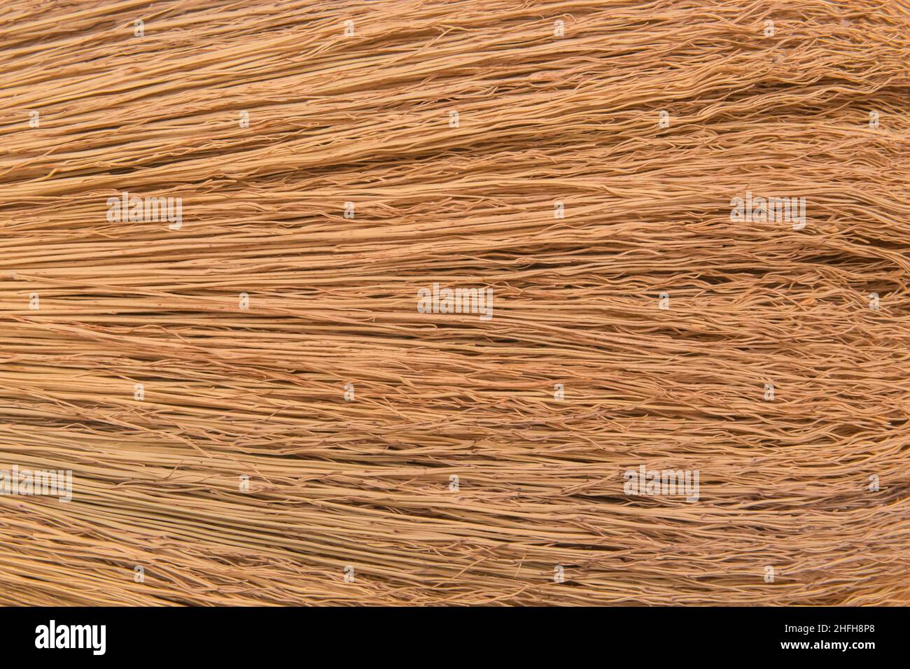 Hirse Besen natürliche Textur Stroh trocken Landwirtschaft Pflanze Muster abstrakt Hintergrund Oberfläche. Stockfoto