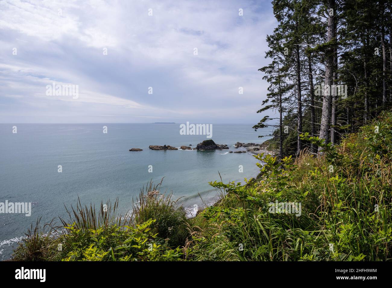 Kalaloch Beach 4 ist einer der besten Orte im Olympic National Park, um Gezeitentümpel zu erkunden. Stockfoto