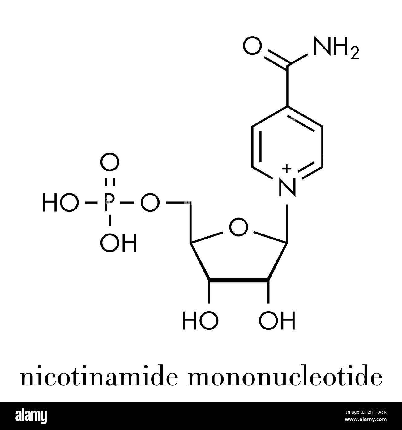Nicotinamid mononucleotide Molekül. Vorläufer von NAD+. Skelettmuskulatur Formel. Stock Vektor