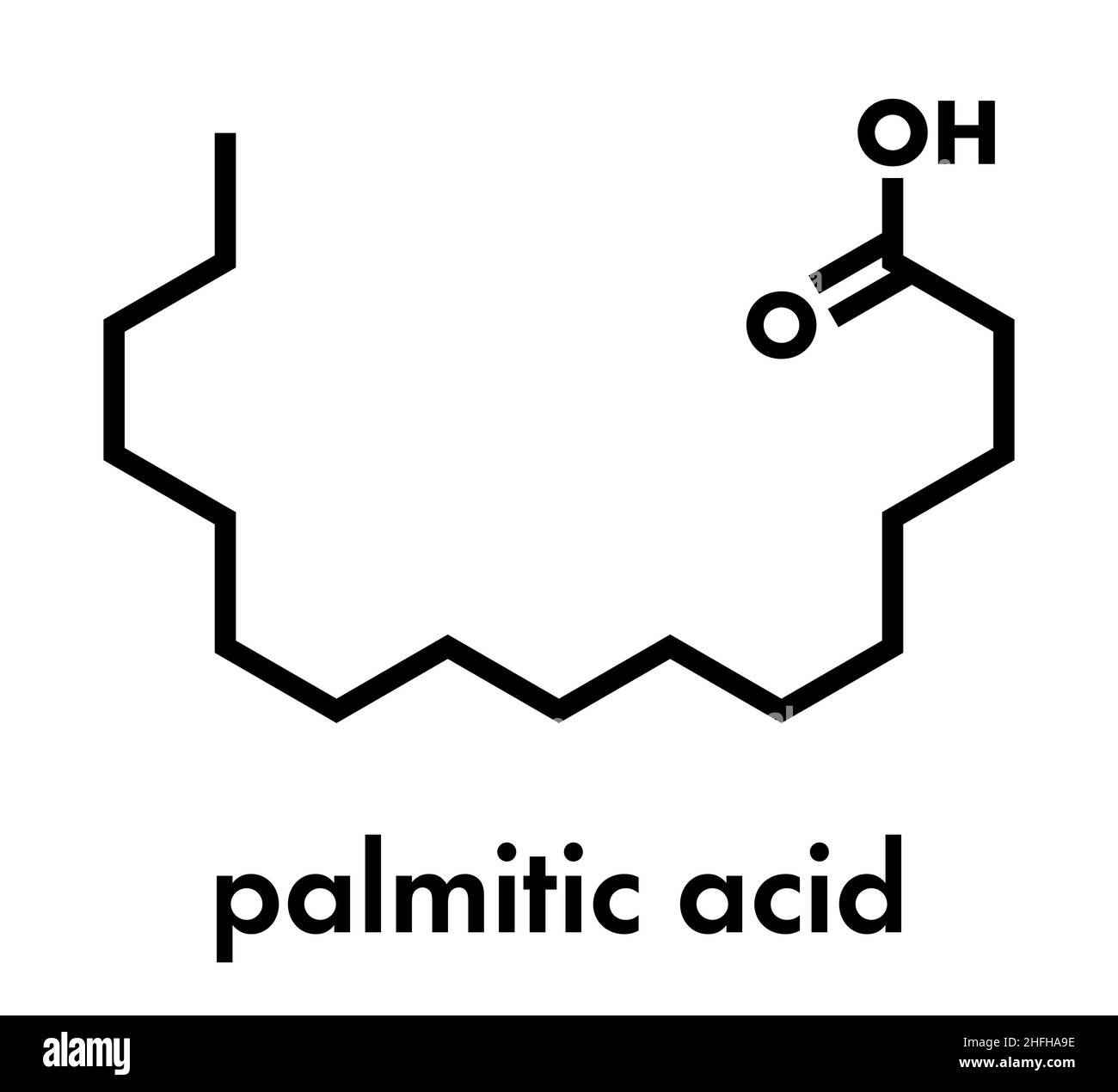 Palmitinsäure (hexadecanoic) Acid gesättigte Fettsäuren Molekül. Skelettmuskulatur Formel. Stock Vektor