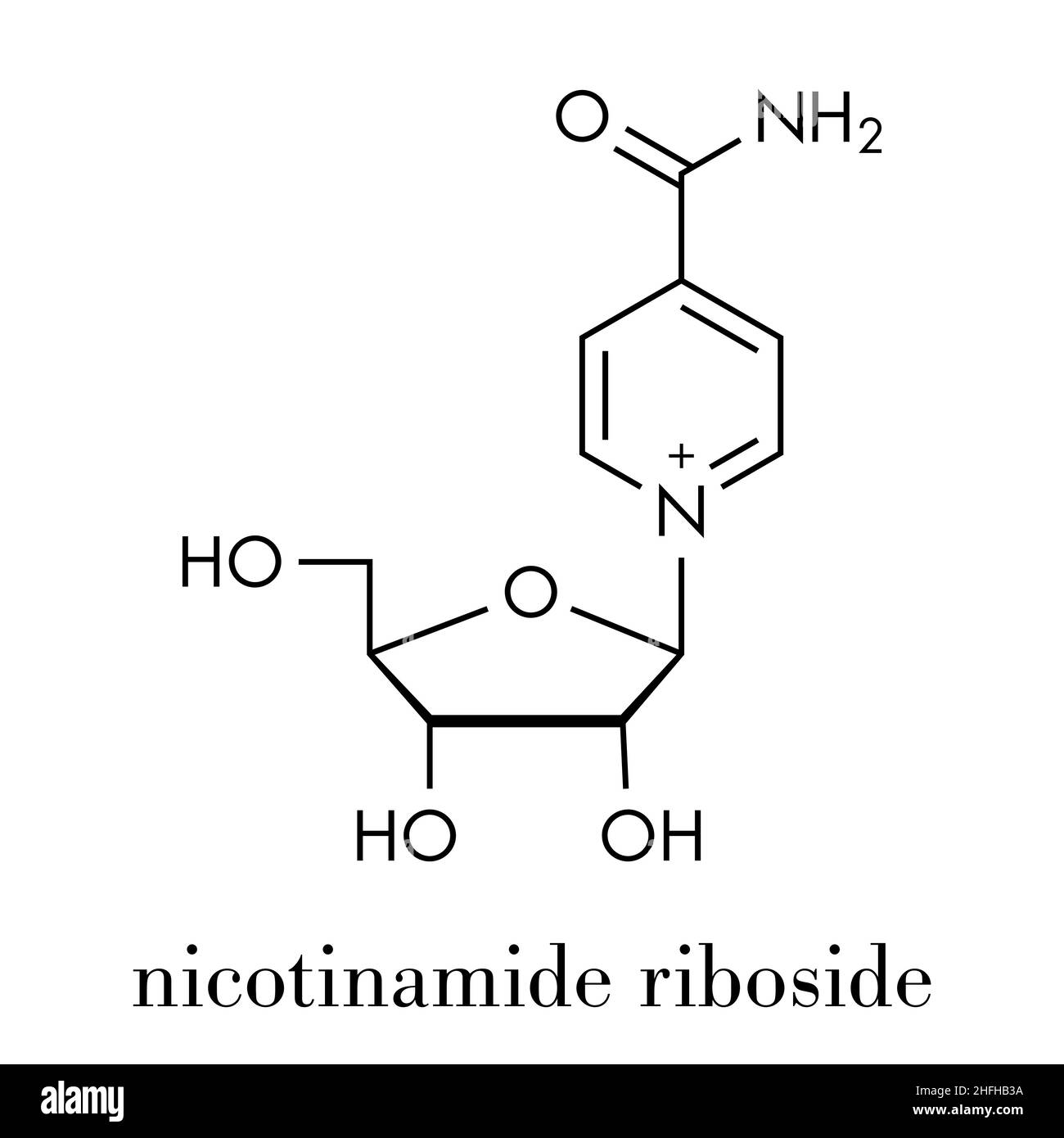 Nicotinamid riboside (NR) Molekül. Vorläufer von Nicotinamid-adenin-dinucleotid (NAD). Skelettmuskulatur Formel. Stock Vektor