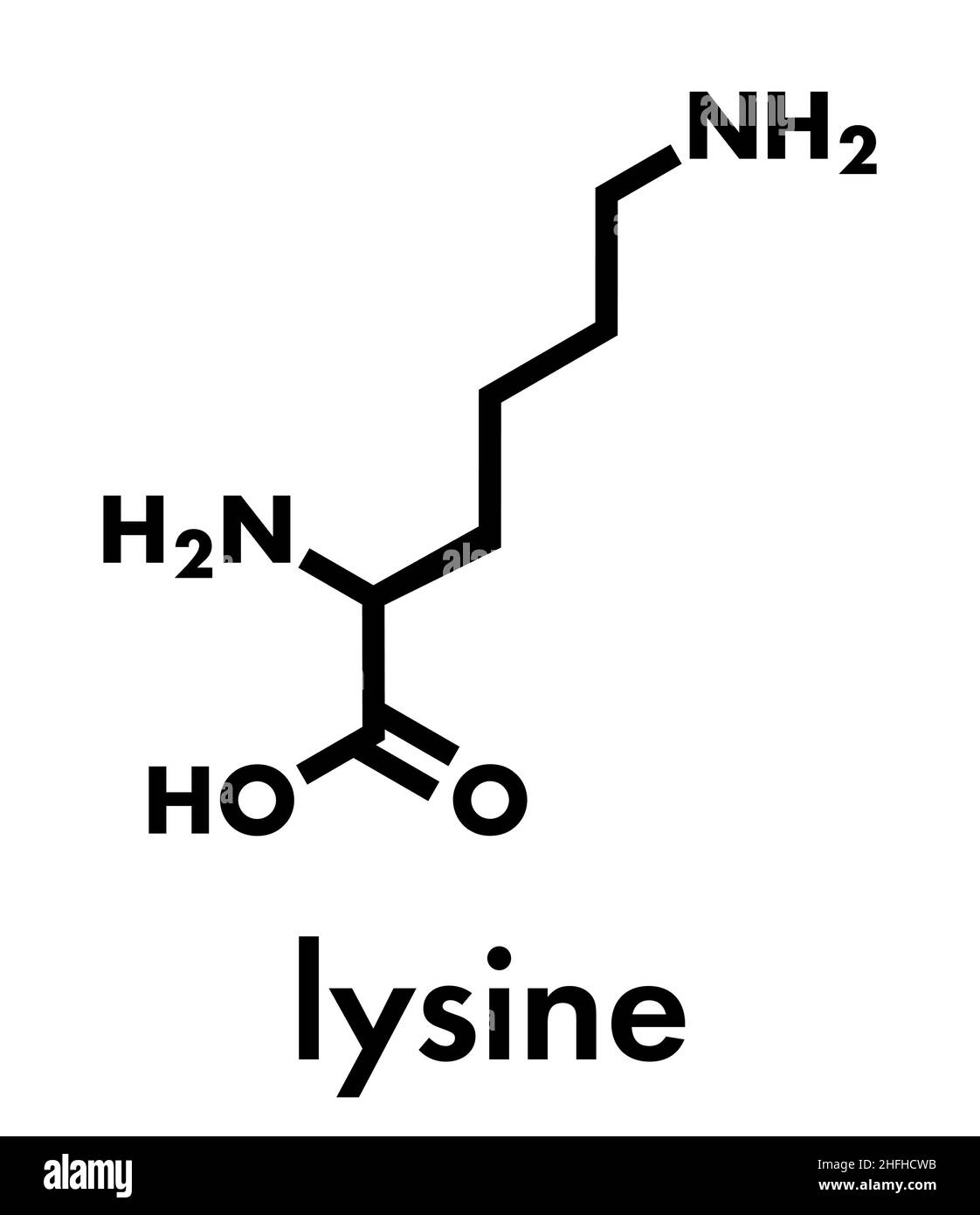 Lysin (L-Lysin, Lys, K) Aminosäure Molekül. Skelettmuskulatur Formel. Stock Vektor