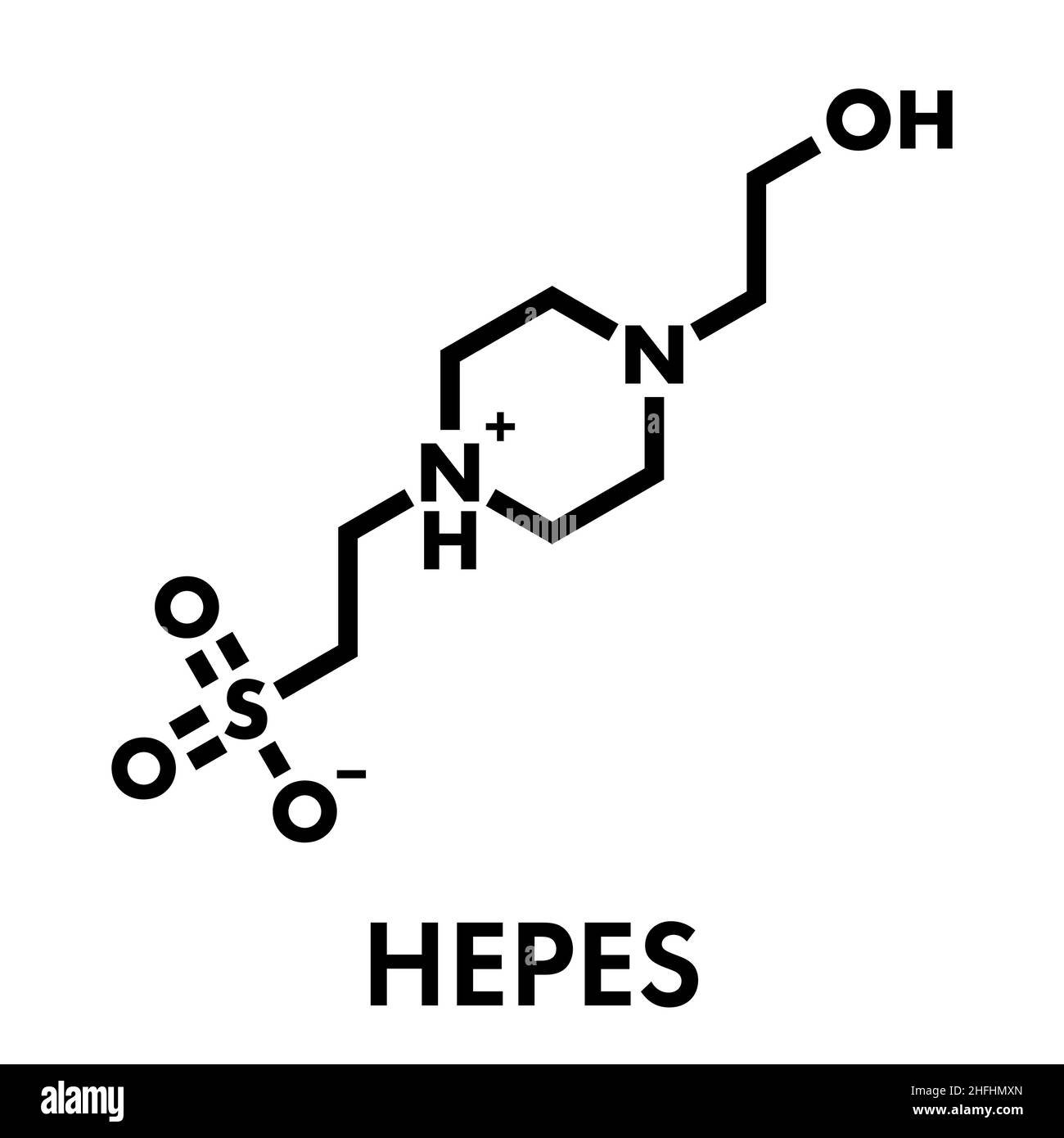 HEPES-Puffer Molekül. Skelettmuskulatur Formel. Stock Vektor