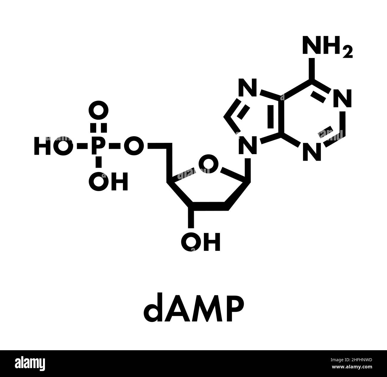 Desoxyadenosintriphosphat Monophosphat (feuchten) Nucleotide Molekül. DNA-Baustein. Skelettmuskulatur Formel. Stock Vektor