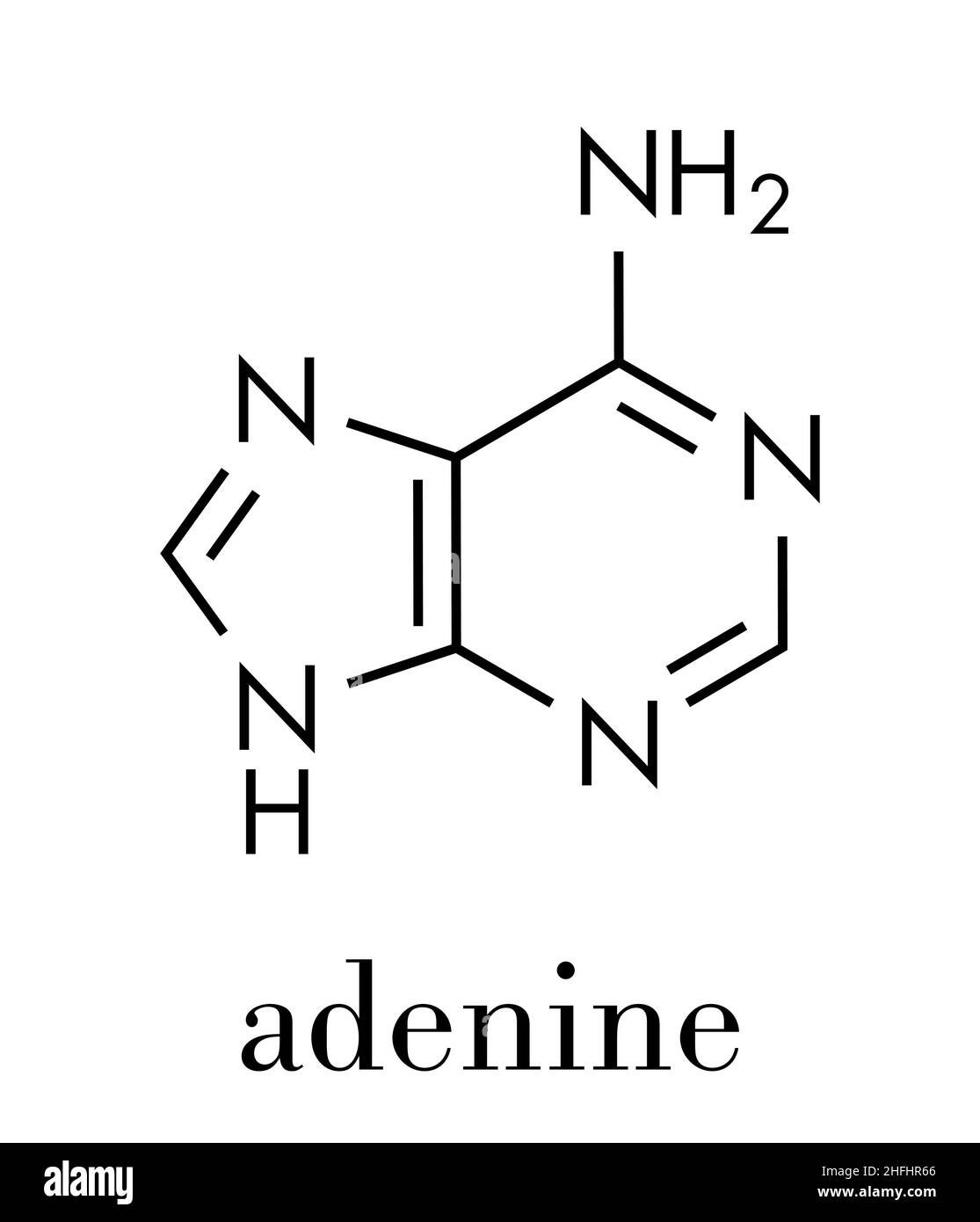 Adenin (A, Adenin) Purin-Nukleobase-Molekül. Base in DNA und RNA vorhanden. Skelettformel. Stock Vektor