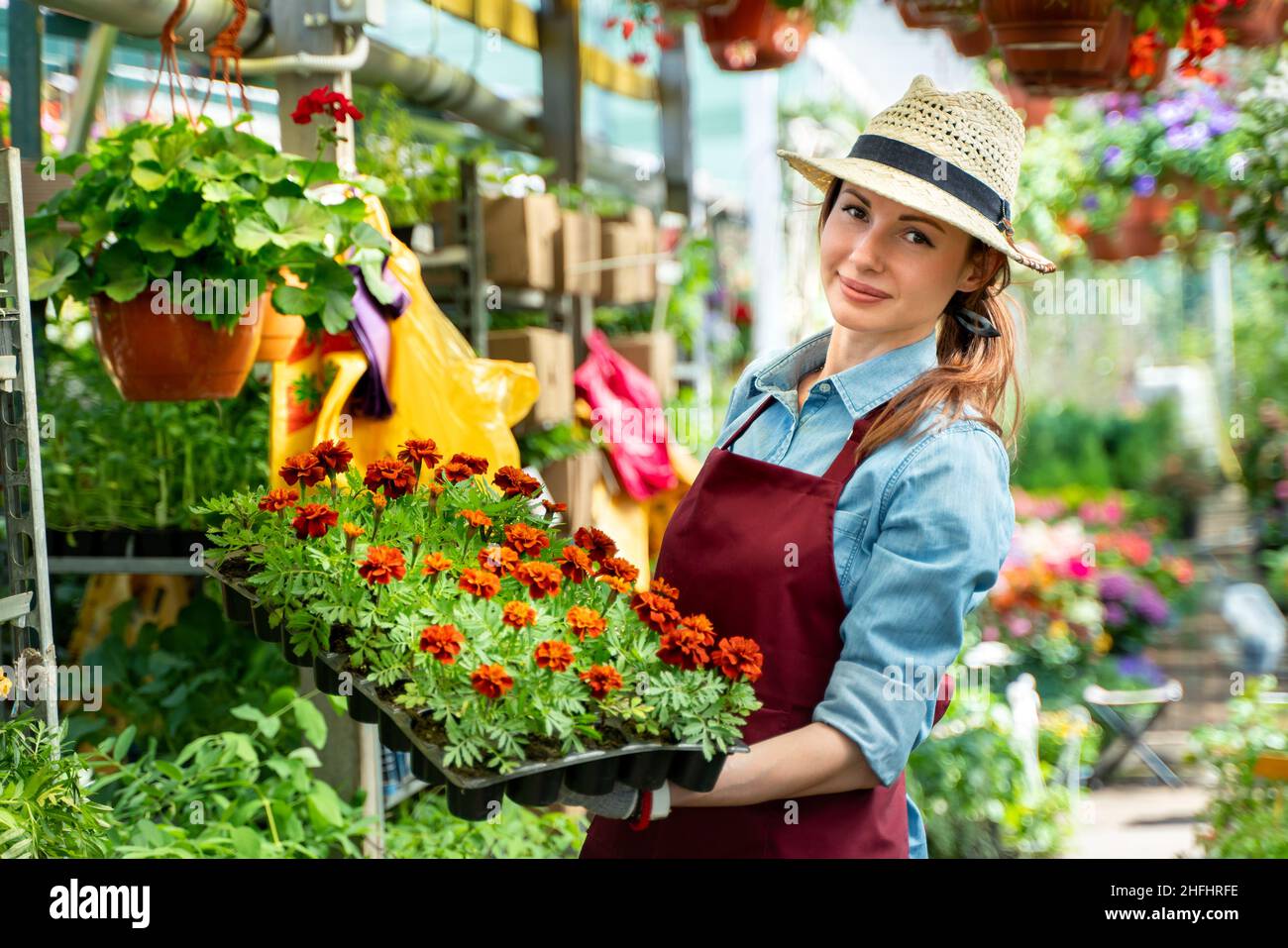 Lächelnd reizende junge Frau Floristin, die Pflanzen im Blumenladen arrangiert. Das Hobby ist zu einem kleinen Unternehmen gewachsen. Stockfoto