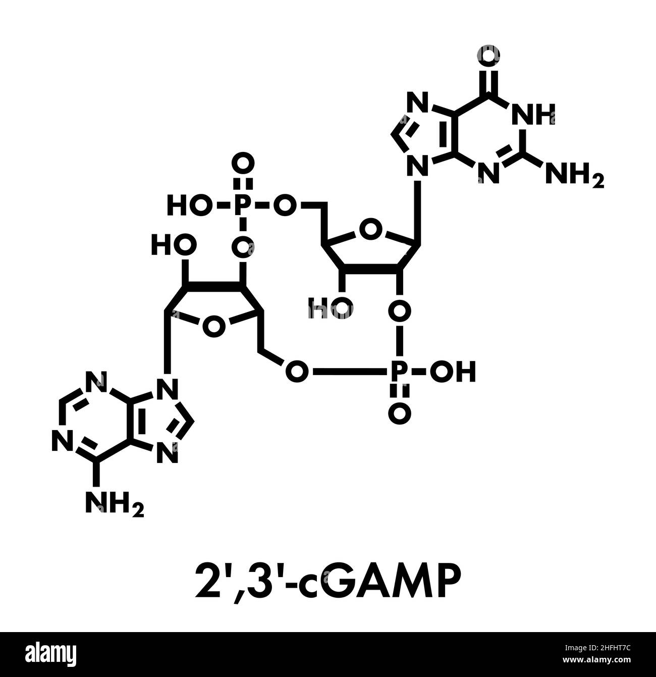 Zyklischen-guanosinmonophosphat - Adenosinmonophosphat (2',3'-cGAMP) Molekül. Skelettmuskulatur Formel. Stock Vektor