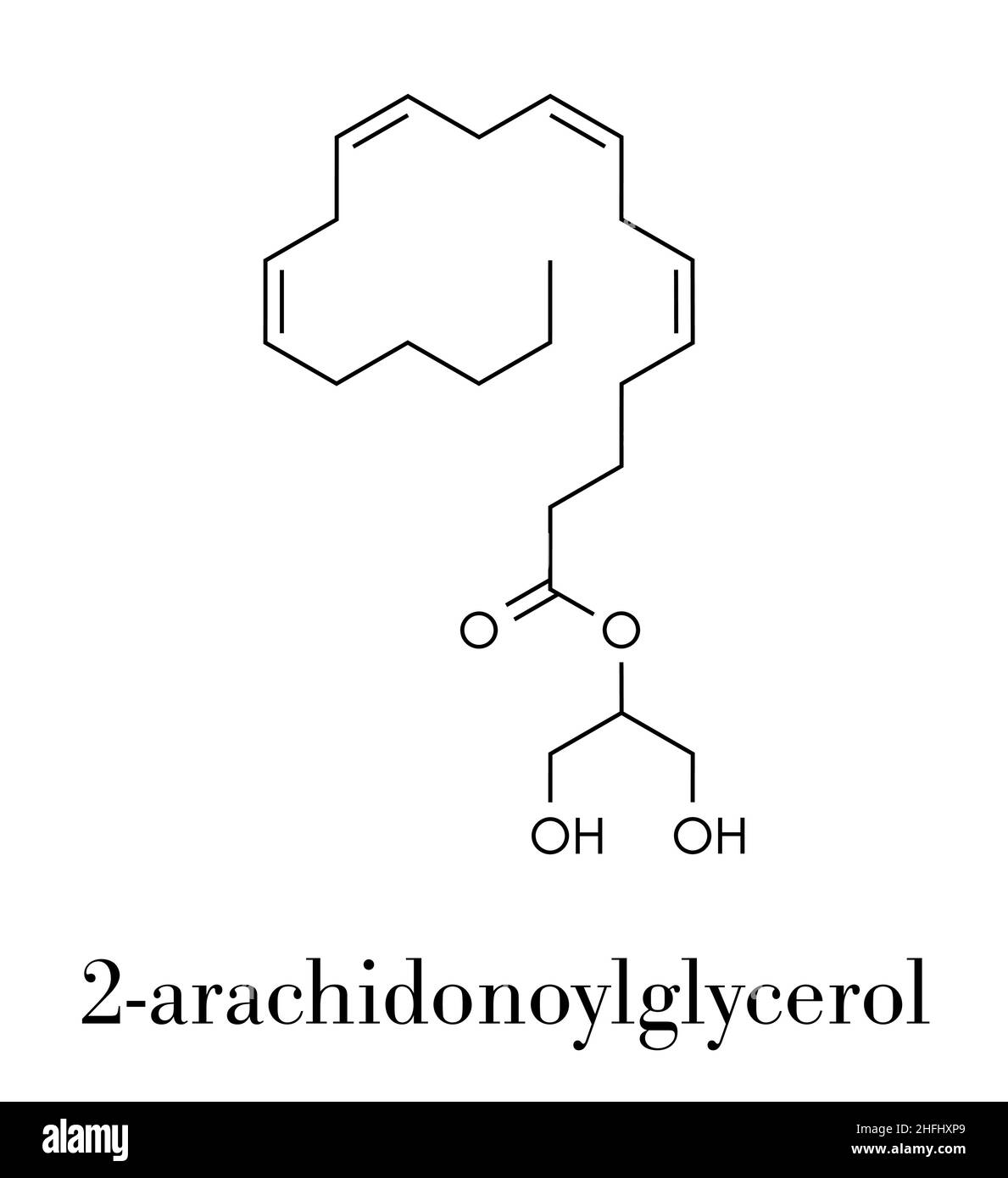 Diacylglycerin lipase Fotos und Bildmaterial in hoher Auflösung Alamy