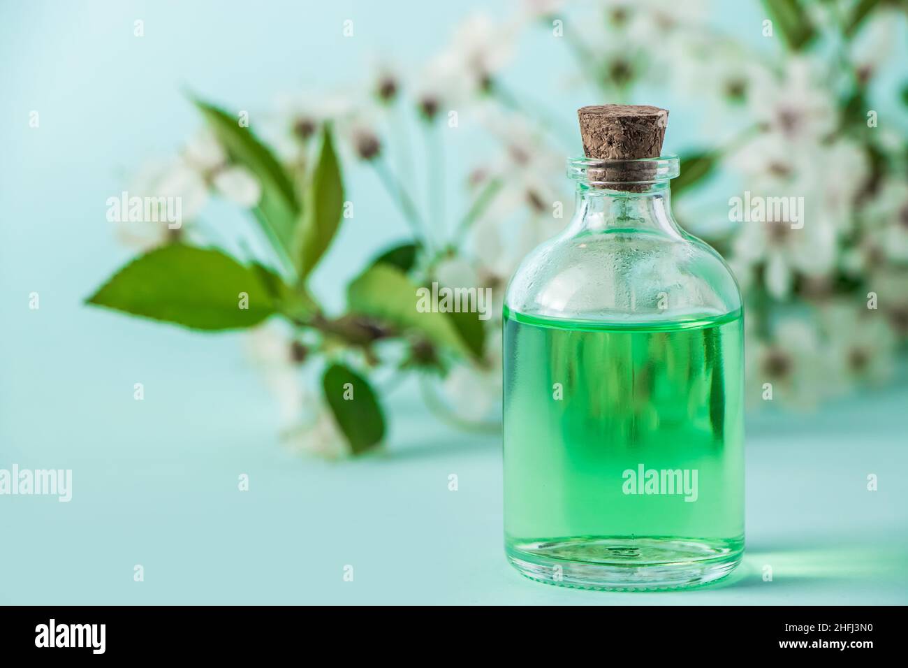 Flasche mit natürlichem Kosmetiköl und Blumen auf blauem Hintergrund. Aromatherapie- und Spa-Wellness-Konzept. Bio-Hautpflegeprodukt. Stockfoto