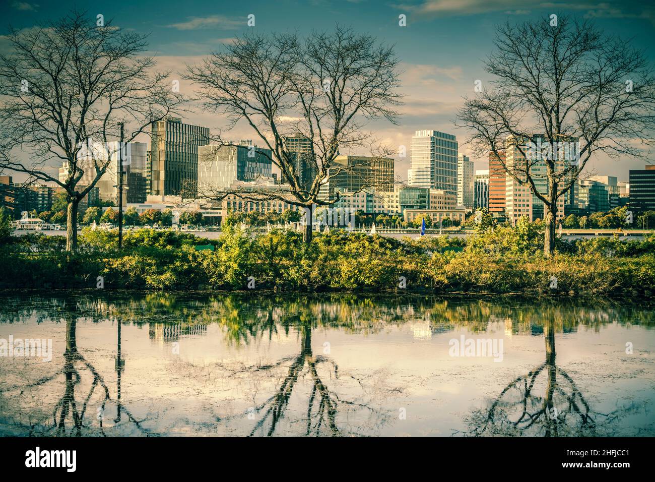 Charles River Esplanade in Boston mit Spiegelung von Bäumen im Wasser Stockfoto