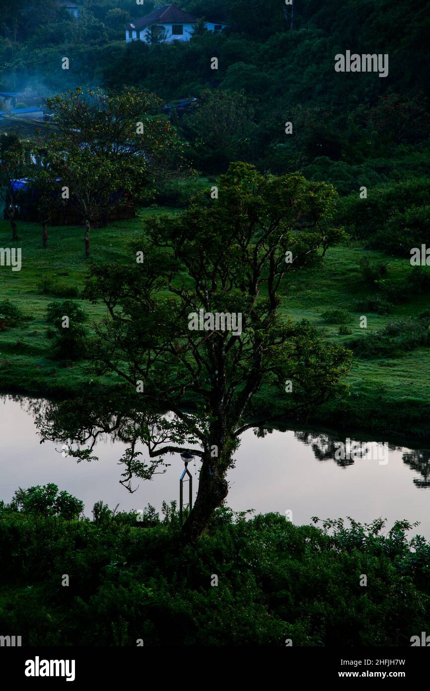 Berge unter Nebel am Morgen erstaunliche Naturlandschaft bilden Kerala Gottes eigenes Land Tourismus und Reise-Konzept Bild, frisch und entspannen Art Natur Stockfoto