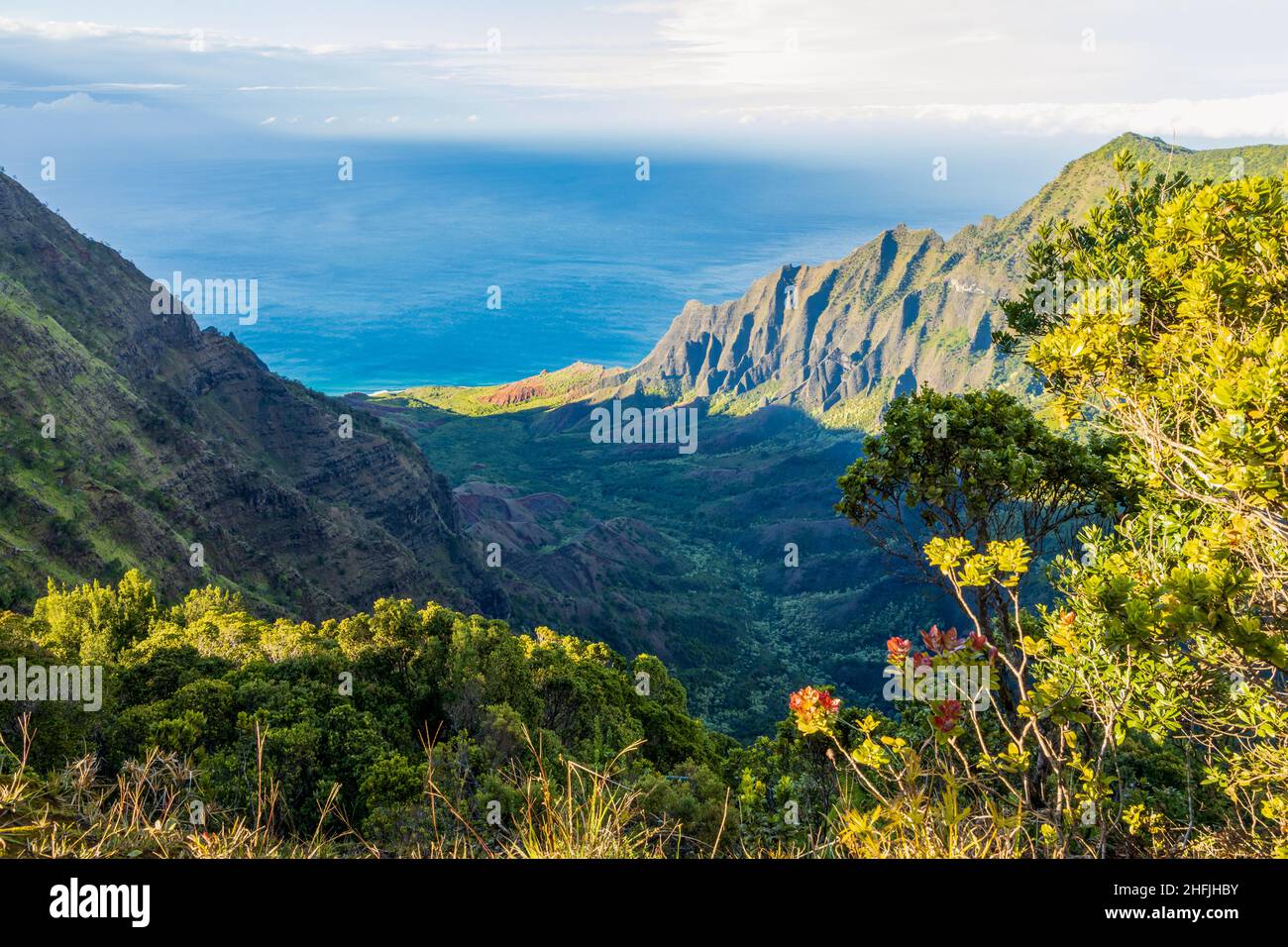 Blick auf die Na Pali Küste vom Kalalau Aussichtspunkt im Kokee State Park auf Kauai Island, Hawaii Stockfoto