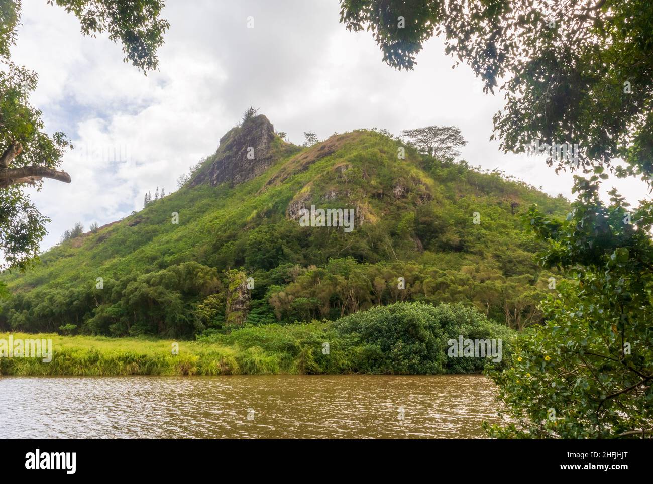 Malerische tropische Landschaft in der Nähe des Wailua Flusses und des Kamokila Hawaiian Village auf der Kauai Insel, Hawaii Stockfoto