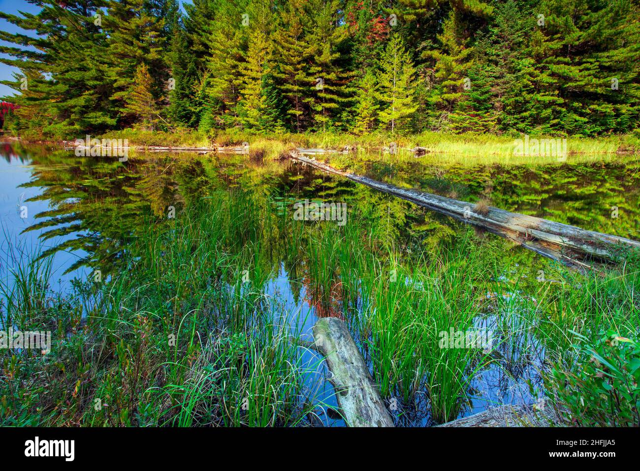 Peck Lake ist ein kleiner See im Algonqual Park Ontario, Kanada, der einen beliebten Wanderweg hat, der den See umkreist. Stockfoto