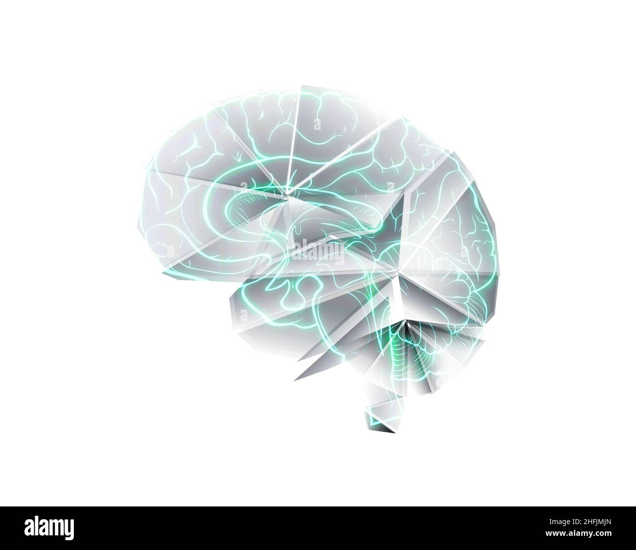 Modell des menschlichen Gehirns, aus Papier im Stil von Origami gefaltet. Stockfoto