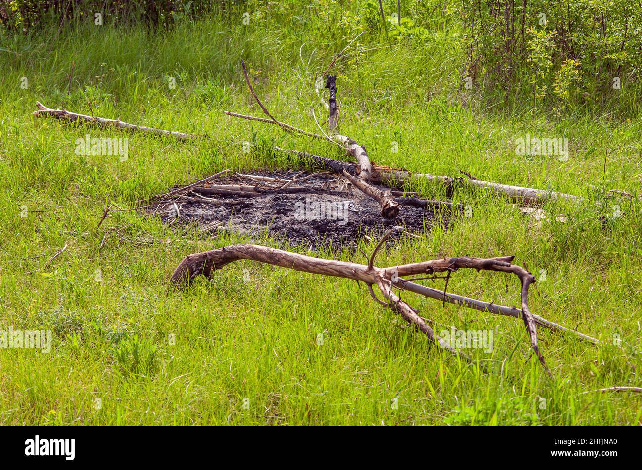 Kamin in der Natur gelöscht. Verbrannte Kohle, grünes Gras und trockene Zweige. Die Folgen eines Urlaubs außerhalb der Stadt. Stockfoto