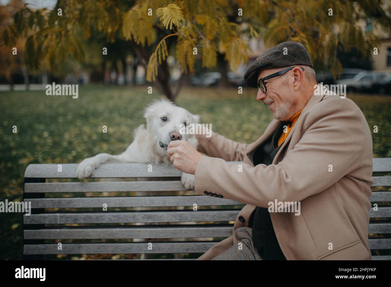 Glücklicher älterer Mann, der auf der Bank sitzt und sich während eines Hundespaziergangs im Park ausruht. Stockfoto