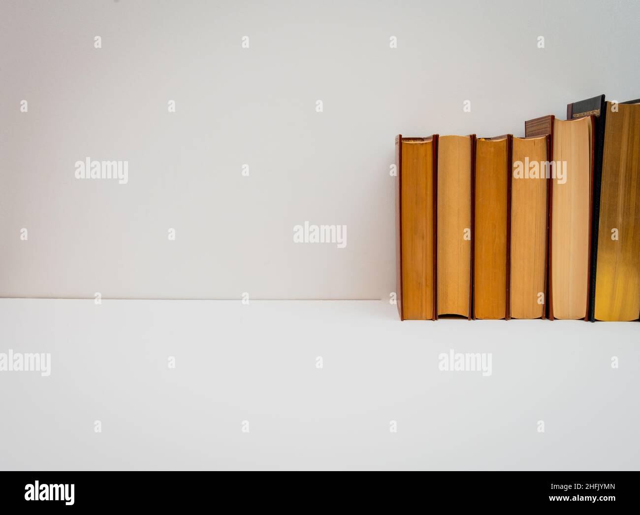 Bücher im Regal, Konzept des Wissens oder des Lernens, Welt Buchtag. Stockfoto