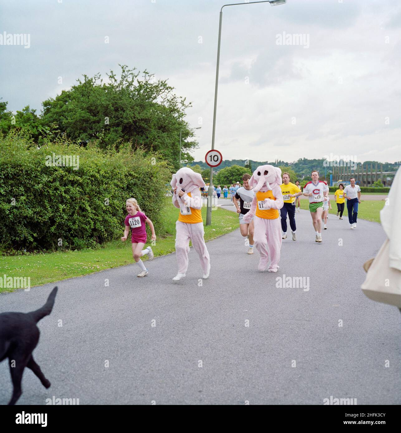 Copthall Stadium, Hendon, Barnett, London, 09/07/1988. Zwei Teilnehmer, die in pinken Elefantenkostümen an einem 5km-Rennen im Copthall Stadium teilnehmen. Dieses Straßenrennen 10km war Teil einer Wohltätigkeitsveranstaltung, die am 9th. Juli 1988 im Copthall Stadium stattfand, mit dem Ziel, Geld für den Great Ormond Street Hospital Appeal zu sammeln. Laing-Teams aus verschiedenen Abteilungen im ganzen Land nahmen daran Teil. Stockfoto