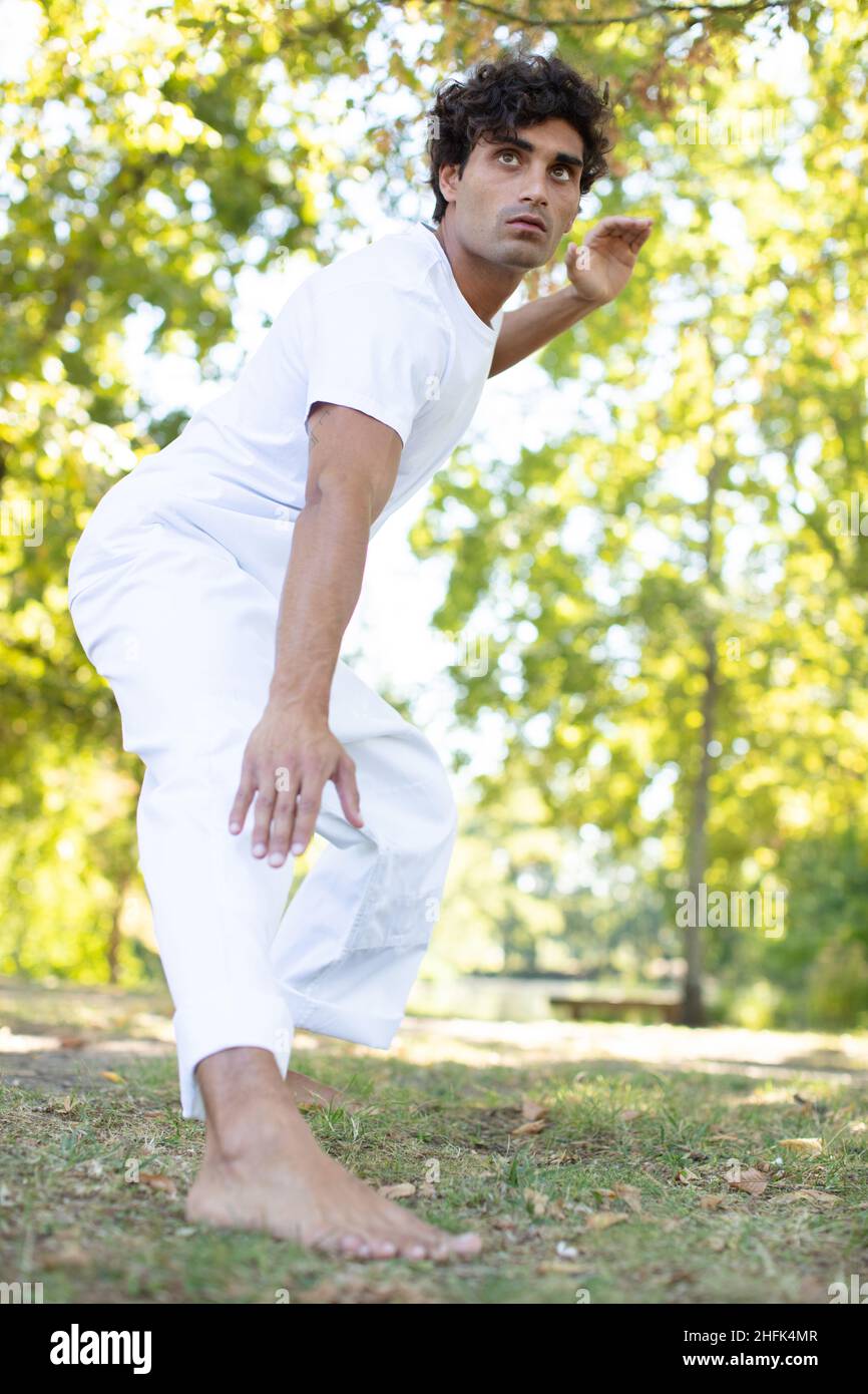Junger Mann, der traditionelle chinesische Tai Chi praktiziert Stockfoto