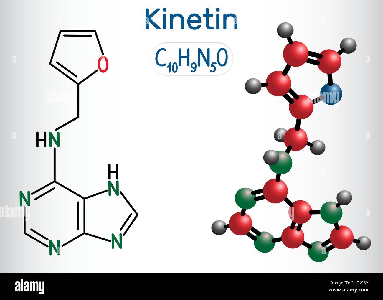 Kinetin-Molekül (N6-Furfuryladenin). Es ist Pflanzenhormon. Strukturelle chemische Formel und Molekülmodell Stock Vektor