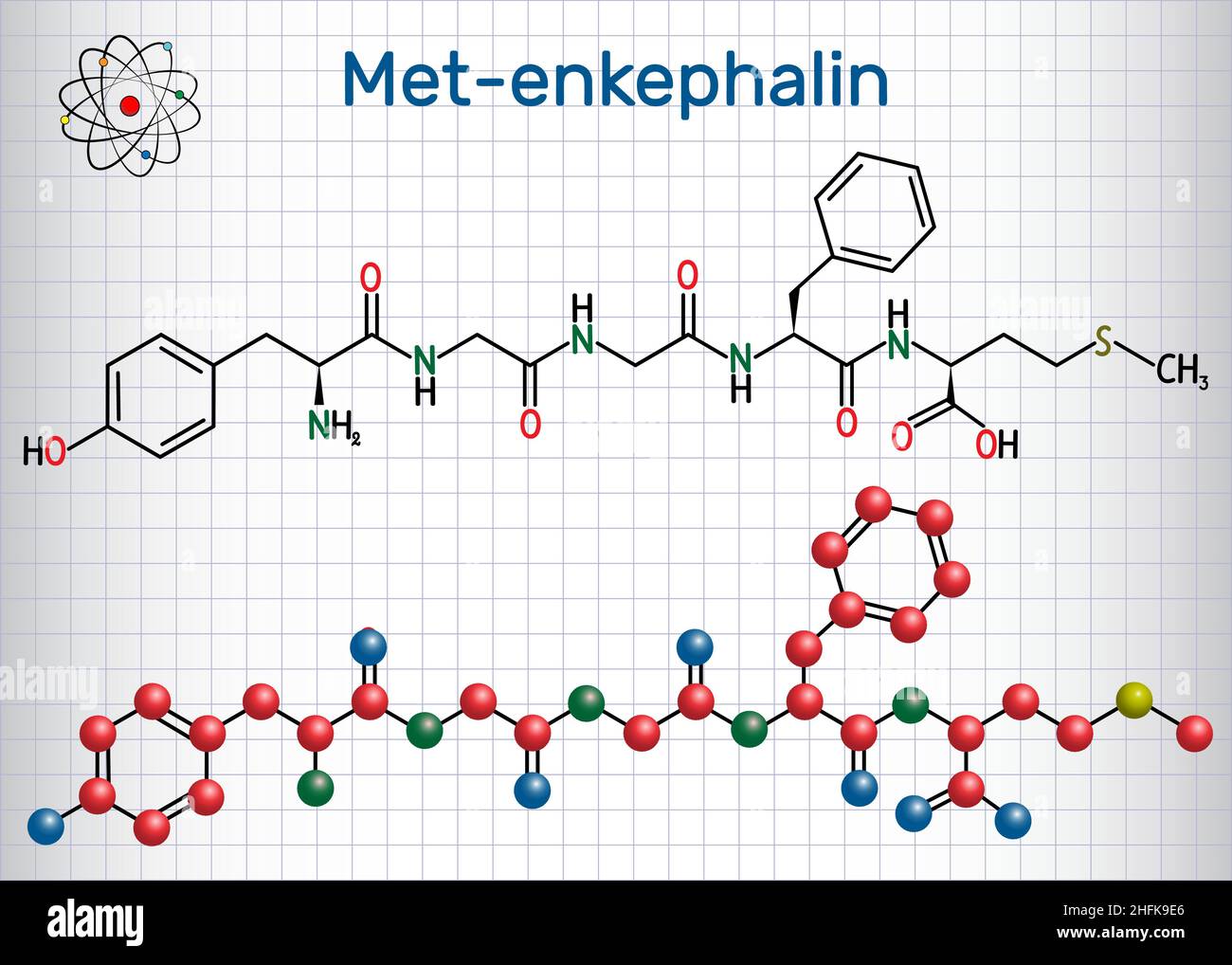 Met-Enkepalin-Molekül. Es handelt sich um endogenes Opioid-Peptid. Blatt Papier in einem Käfig. Strukturelle chemische Formel und Molekülmodell Stock Vektor