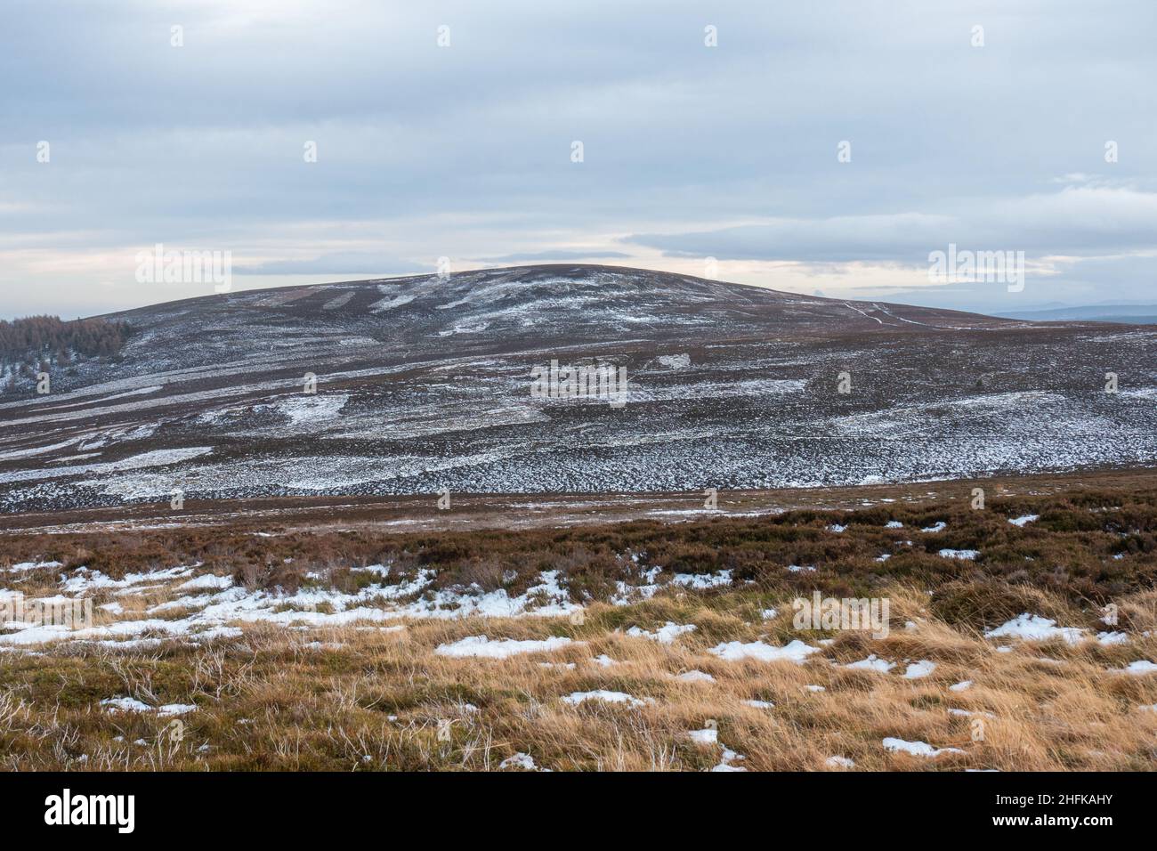 Lord Arthur's Hill in den Correen Hills bei Alford, Aberdeenshire, Schottland Stockfoto