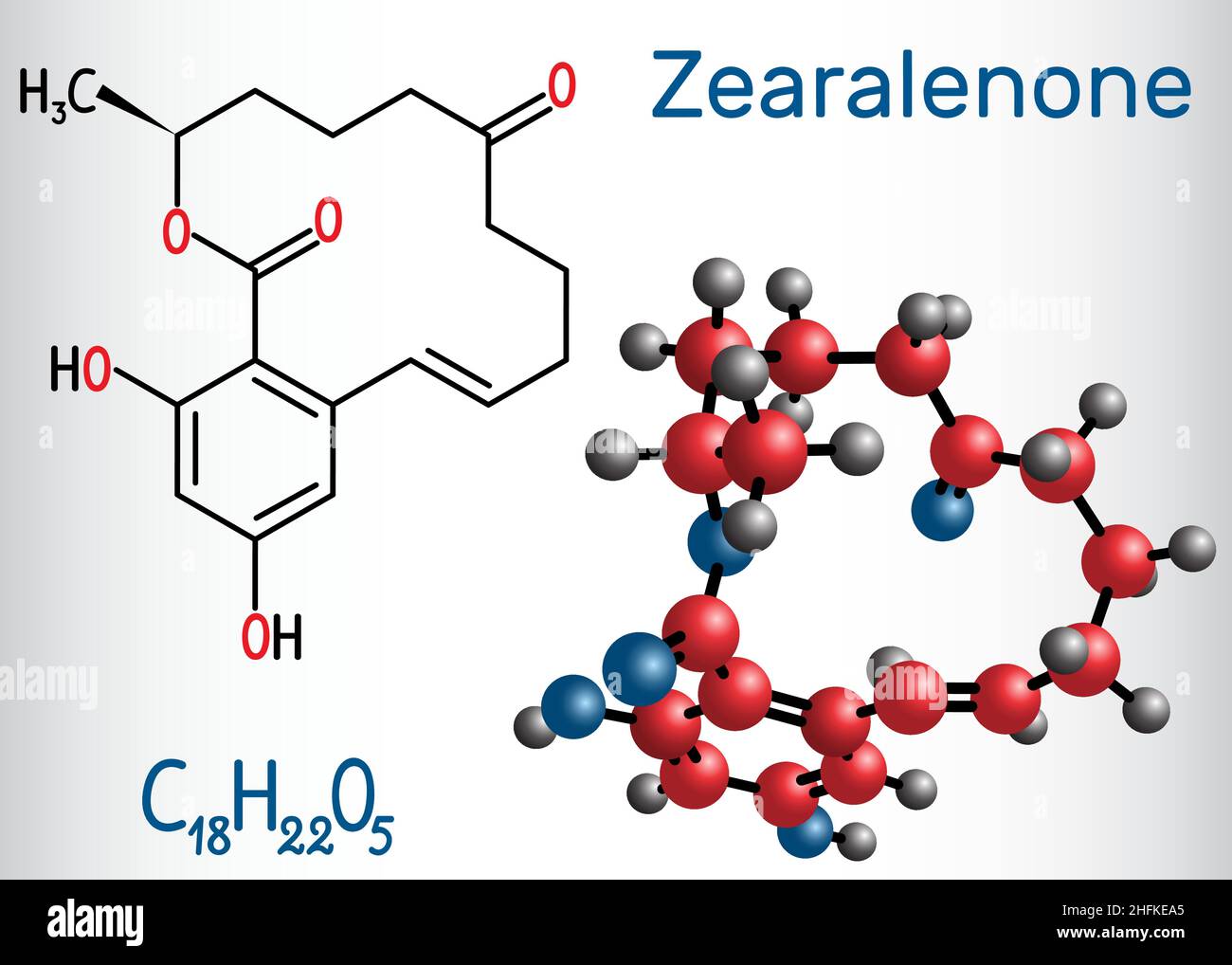 Zearalenon (ZEN)-Mykotoxinmolekül. Strukturelle chemische Formel und Molekülmodell. Vektorgrafik Stock Vektor