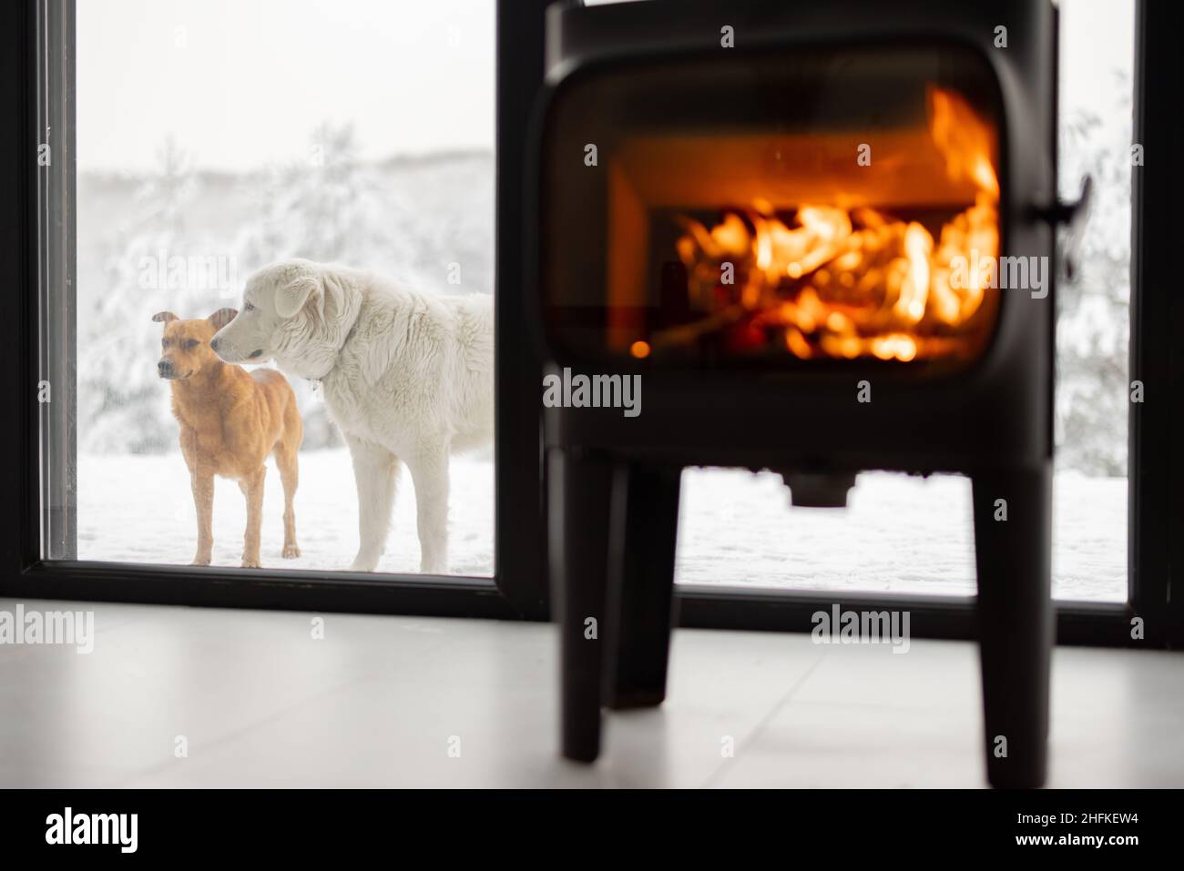 Gemütlicher Wohnbereich am Kamin bei verschneiten Bergen und spielenden Hunden Stockfoto