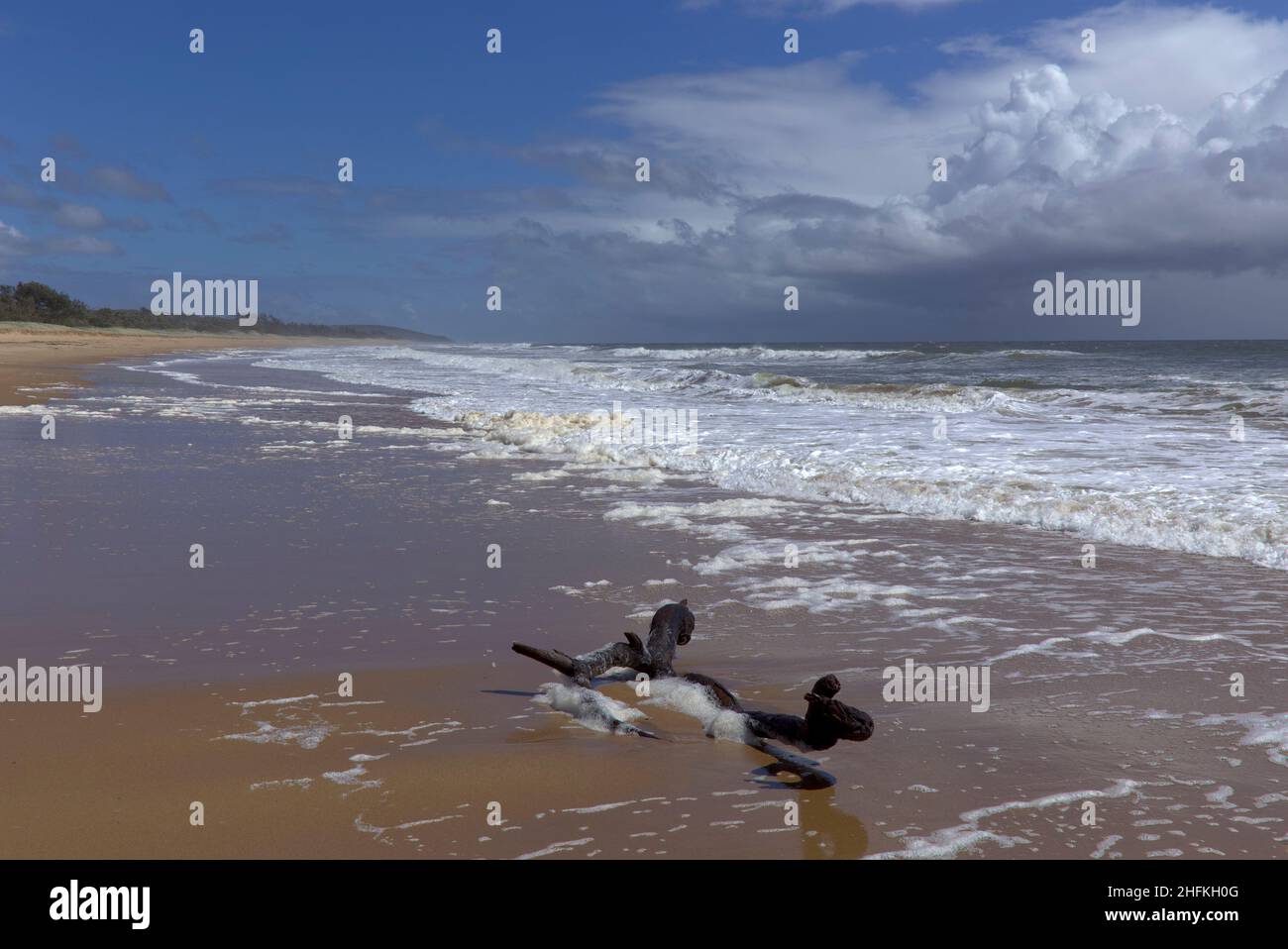 Regensturmwolken bilden sich vor der Küste im Deepwater National Park Queensland Australia Stockfoto