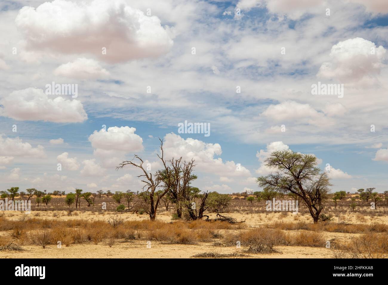 Kgalagadi Landschaft mit Wolkenbildung Stockfoto