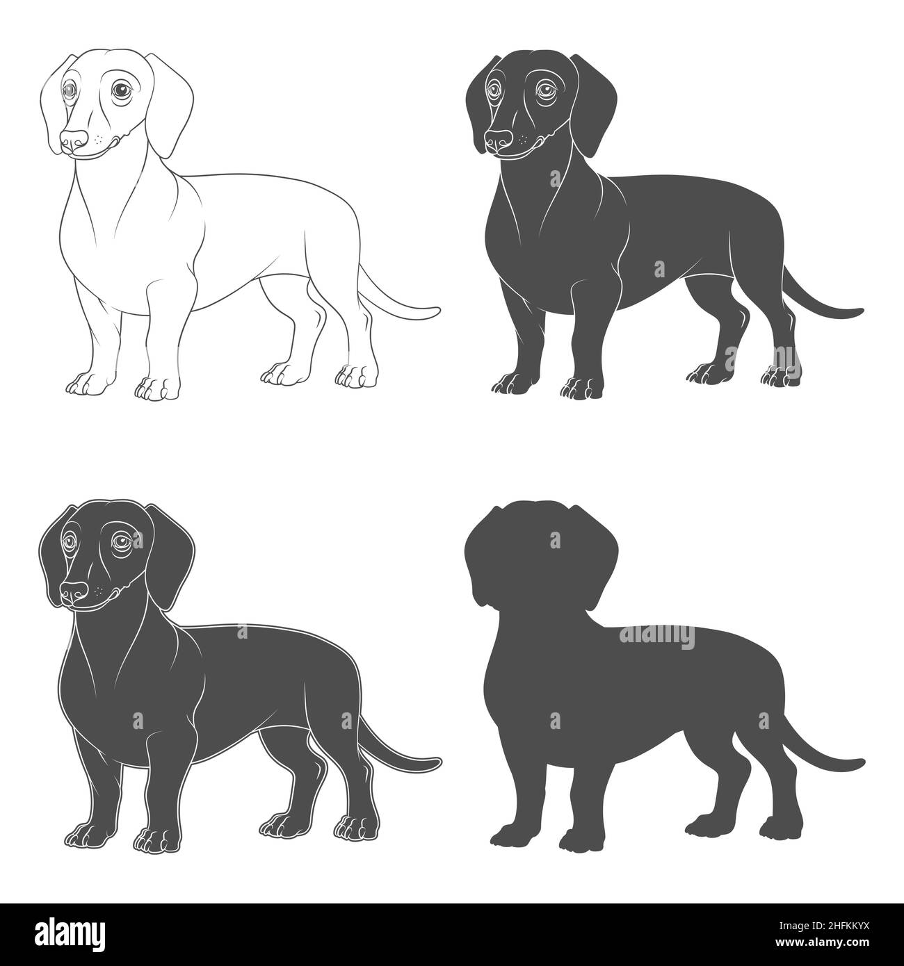Set aus schwarz-weißen Illustrationen mit dem Bild eines Dackel-Hundes. Isolierte Vektorobjekte auf weißem Hintergrund. Stock Vektor