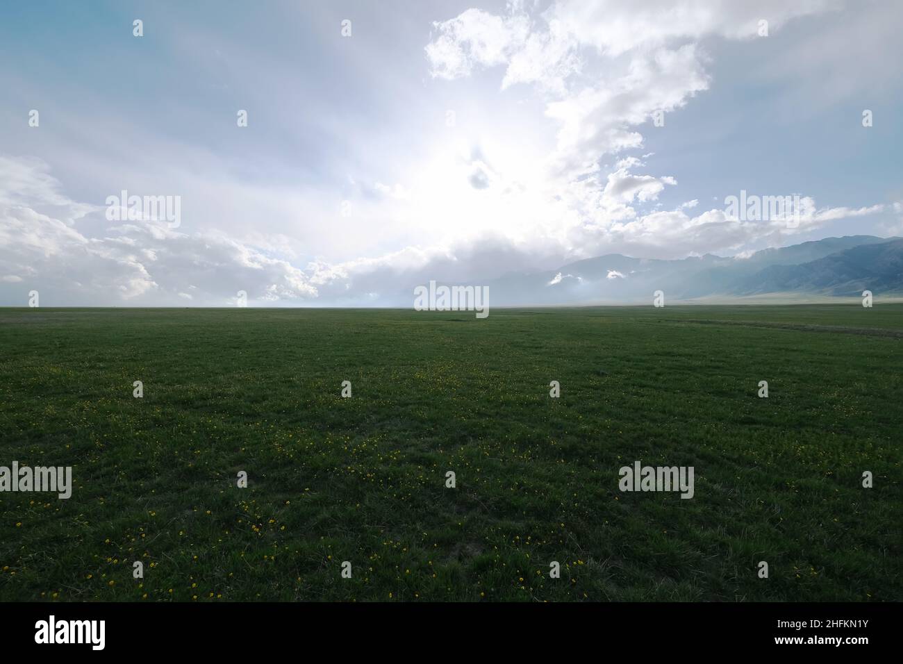 Weite leere grüne Prärie. Weiße Wolken und Berge am Horizont. In Xinjiang China Stockfoto