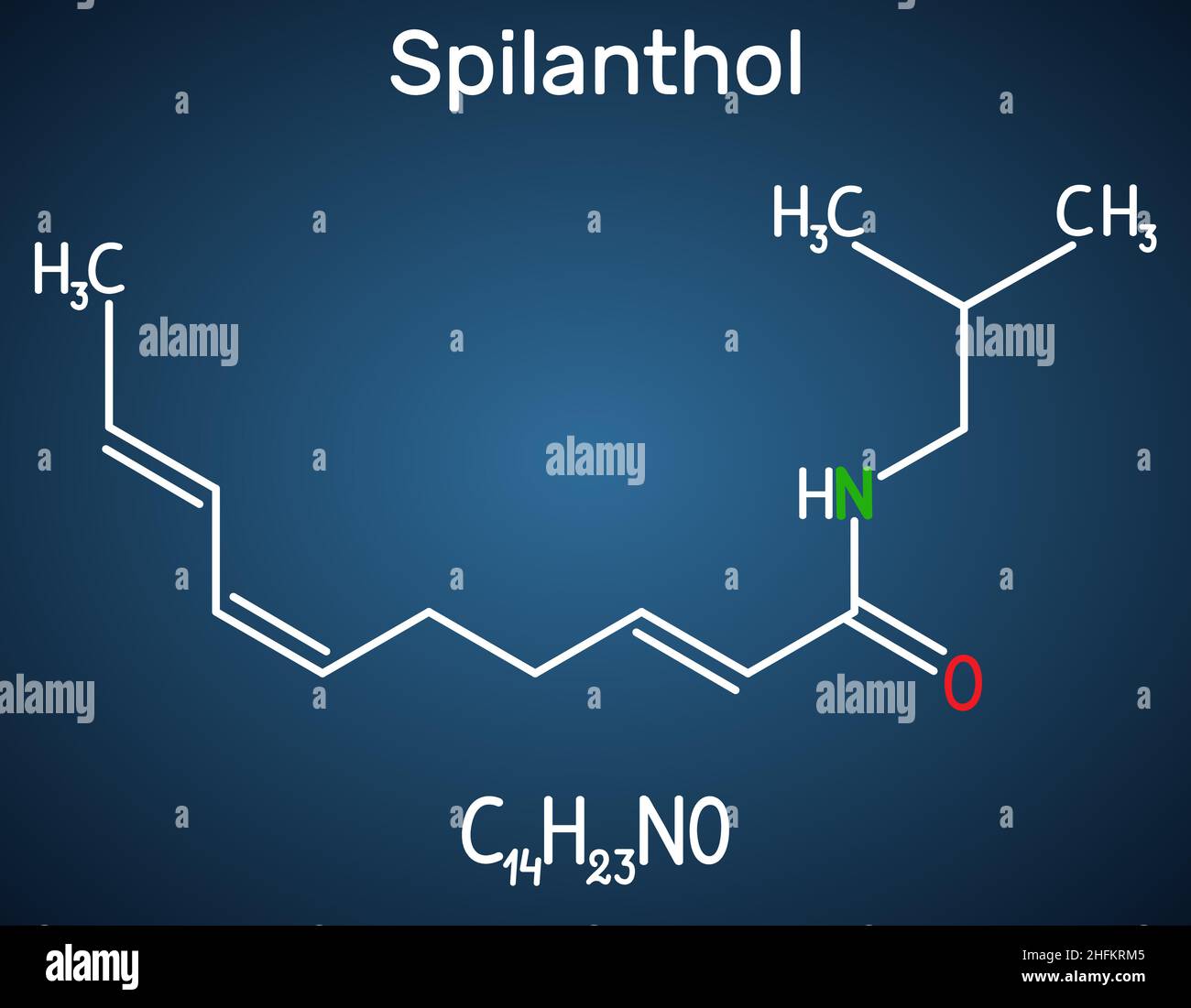 Spilanthol-Molekül. Es ist ein Fettsäureamid, wird für die lokalen Anäureeigenschaften und in der Kosmetologie verwendet. Strukturelle chemische Formel auf dem dar Stock Vektor