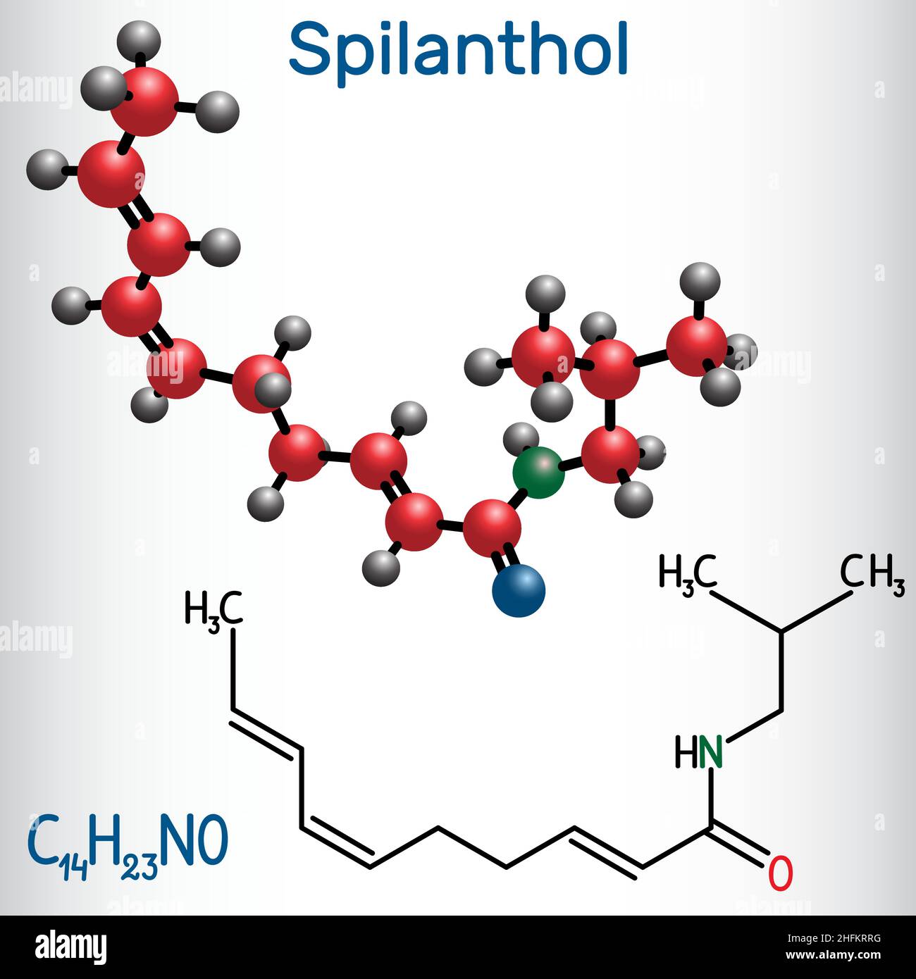 Spilanthol-Molekül. Es ist ein Fettsäureamid, wird für die lokalen Anäureeigenschaften und in der Kosmetologie verwendet. Strukturelle chemische Formel und Molekular Stock Vektor