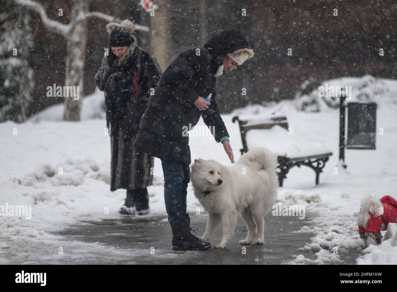 Winter in Serbien: Frauen mit ihren Hunden im Saint Sava Park, Belgrad Stockfoto