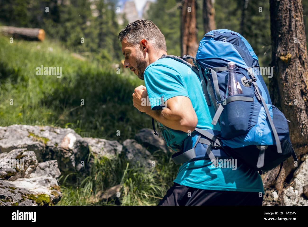 Mann mit Rucksack beim Wandern im Wald Stockfoto