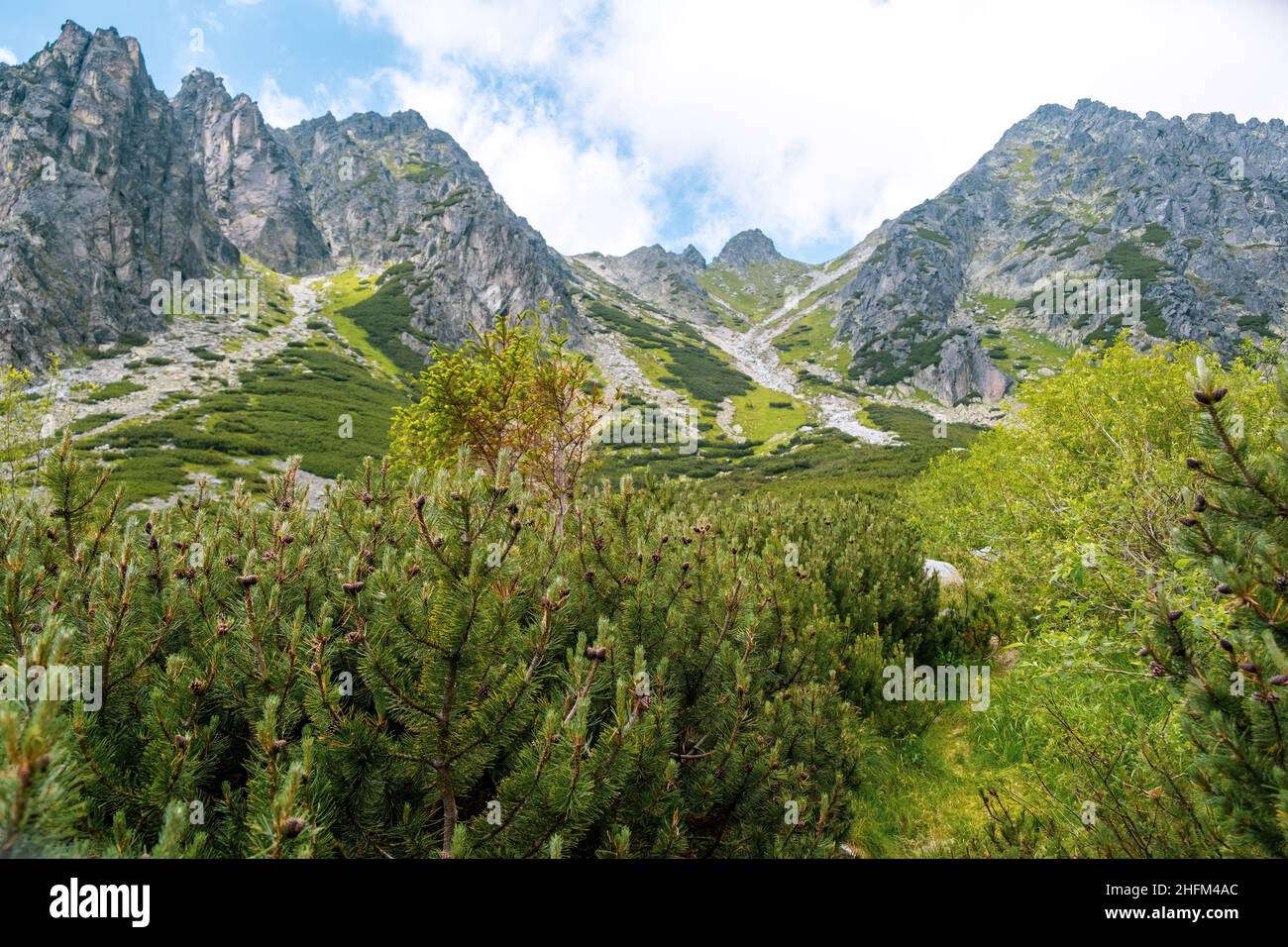 Hohe Tatra Gipfel mit dem blauen Himmel und Wolken auf dem Hintergrund in der Slowakei. Wanderwege im Sommer Stockfoto